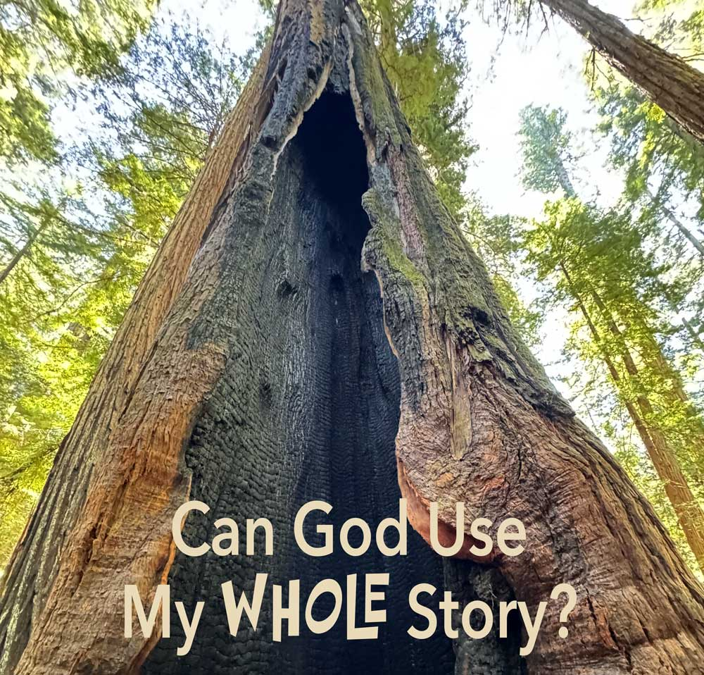 A giant sequoia rises toward the sky with a large fire-scarred opening running up its trunk. Though deeply marked by past fires, the living tree stands tall among a thriving forest, reflecting God's redeeming work in lives marked by hardship.