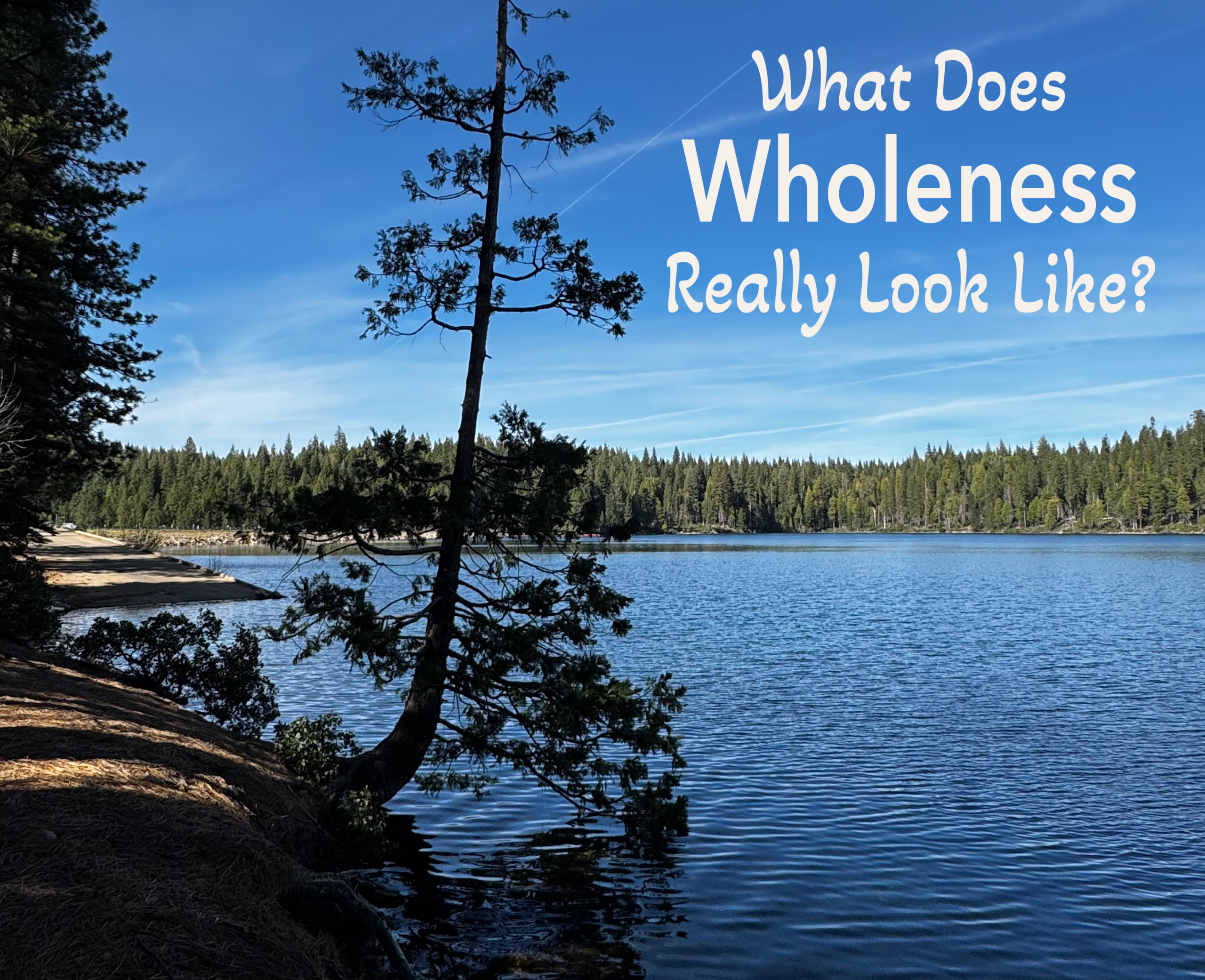 A lone tree growing along the edge of a peaceful mountain lake beneath a clear blue sky. White text on the image reads, "What Does Wholeness Really Look Like?" Featured image for the Life Reclaimed podcast Season 2, Episode 1.