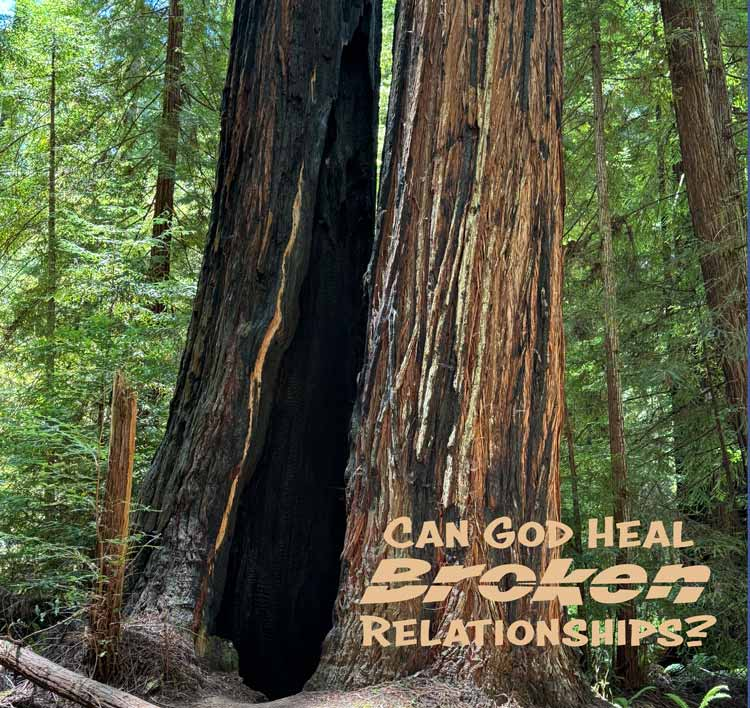 Two trees growing facing each other, only one tree was burned and now is hollowed out. The episode title reads, "Can God Heal Broken Relationships?"