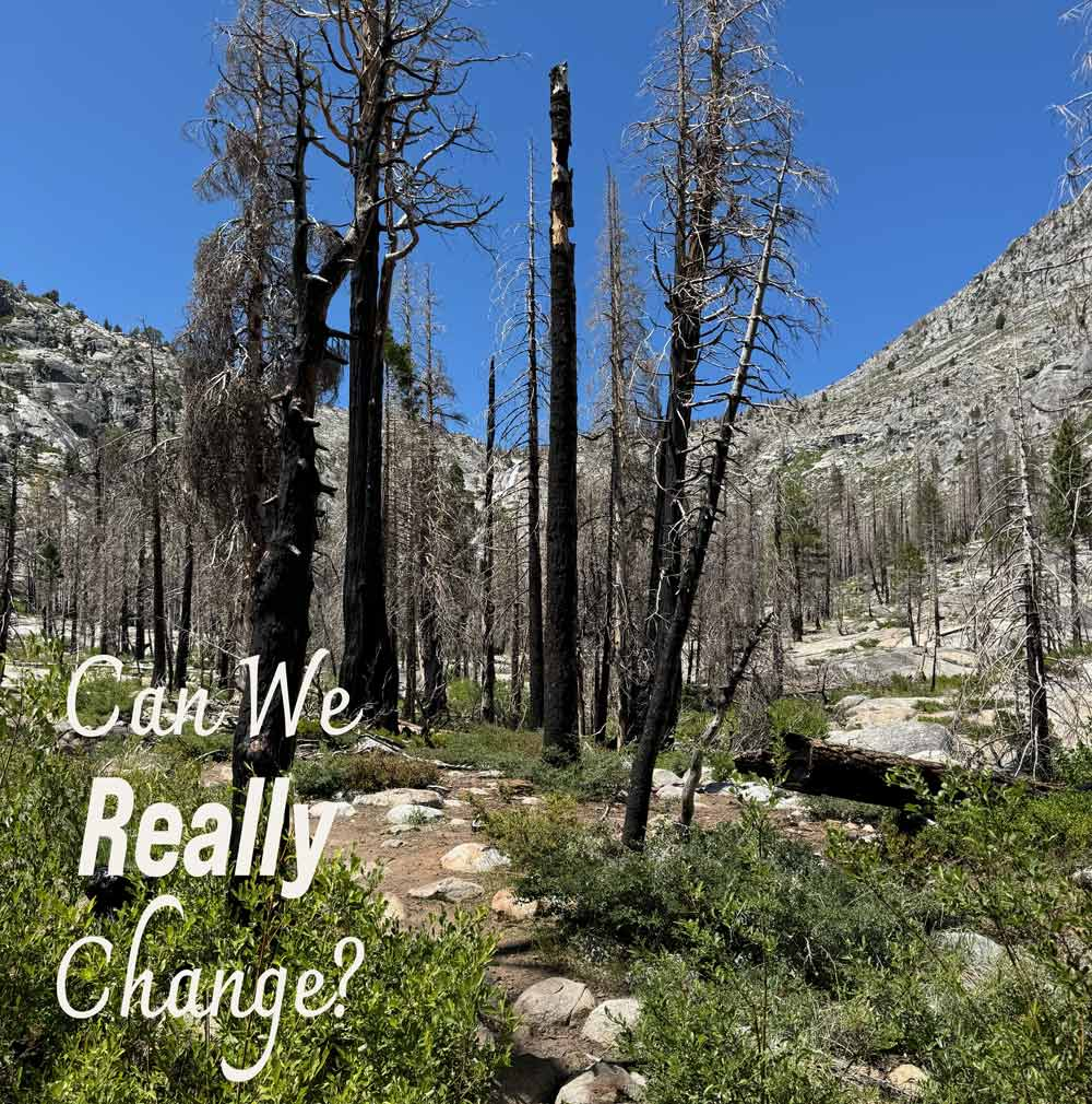 Can We Really Change? text over a fire-scarred forest with green new growth emerging beneath the burned trees.