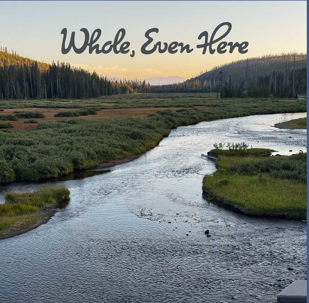 “Whole, Even Here” over a winding river flowing through a mountain meadow at sunset.